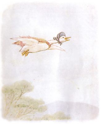 Vintage Beatrix Potter illustration of goose flying over trees, for Jemima Puddleduck bedtime story