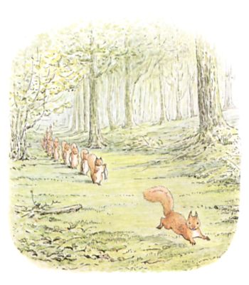 Original Beatrix Potter illustration of squirrels running through forest in a group, for Squirrel Nutkin bedtime story