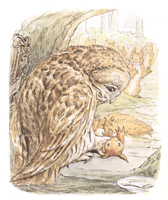 Original Beatrix Potter illustration of owl with trapped squirrel in claws, for Squirrel Nutkin bedtime story