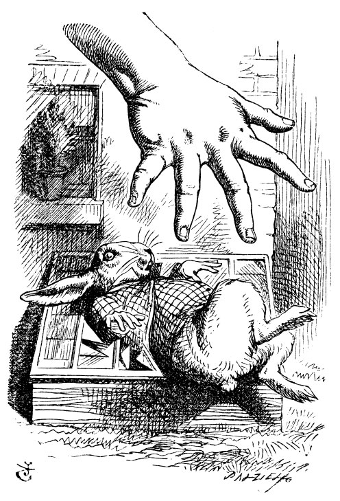 Original children's illustration by John Tenniel of hand grabbing white rabbit from Alice in Wonderland 