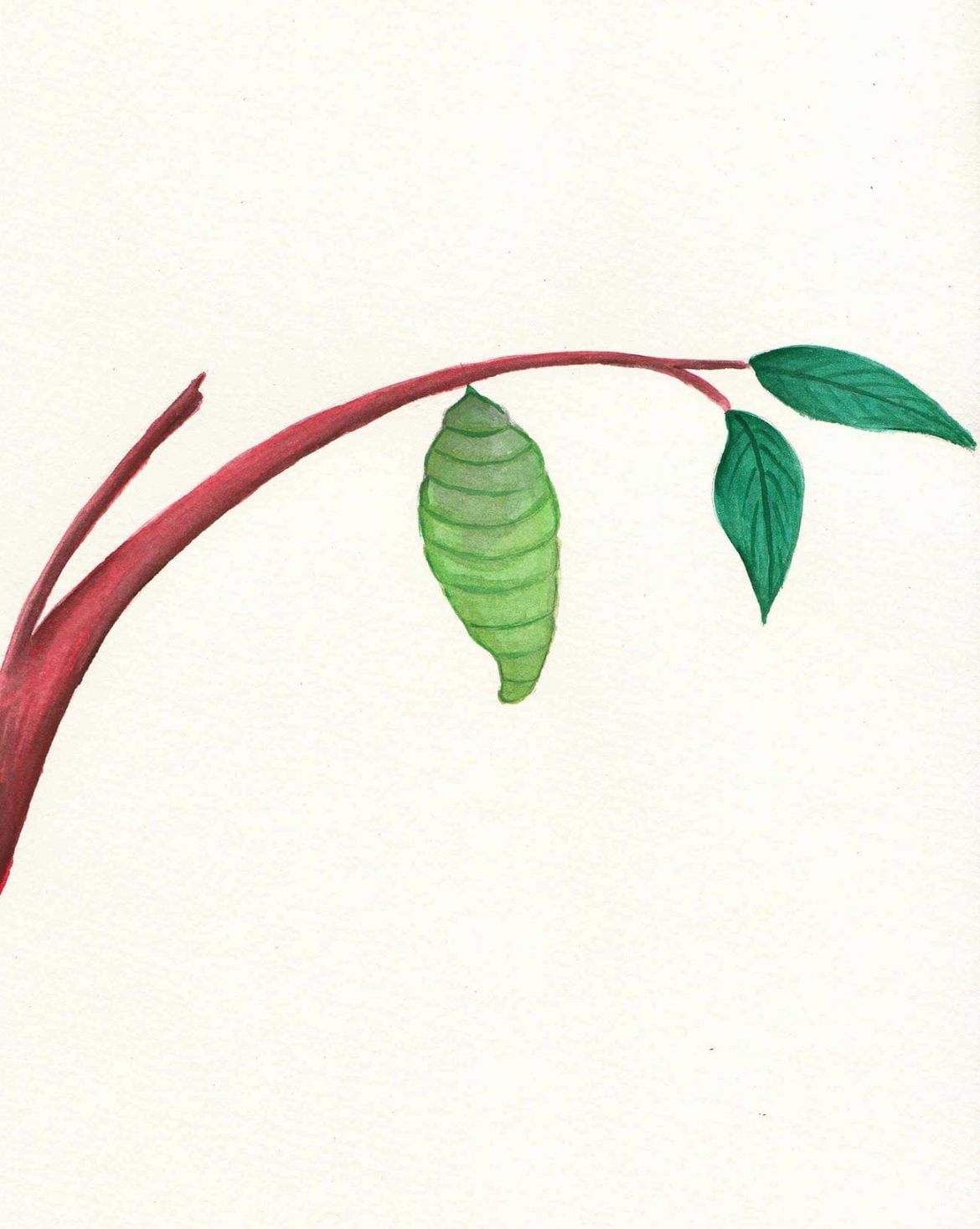 The Story of the Not-So-Colorful Butterfly | Bedtime Stories