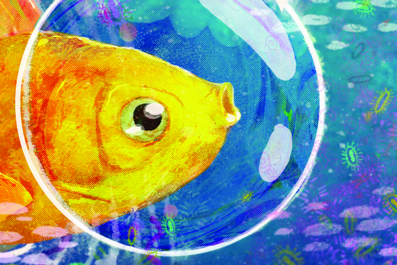 Goldfish Germs and Galaxies childrens anthology free books for kids cover