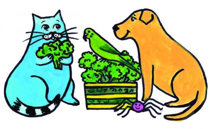 bedtime stories Jimmy the cat and gardening free kids books online header