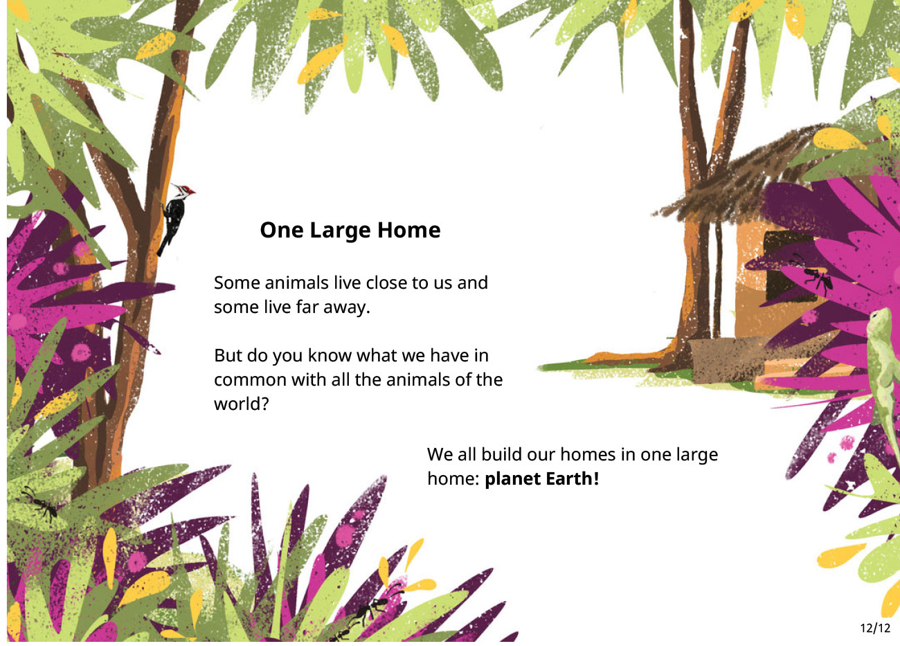 Animal Homes | Free Books for Kids | Bedtime Stories