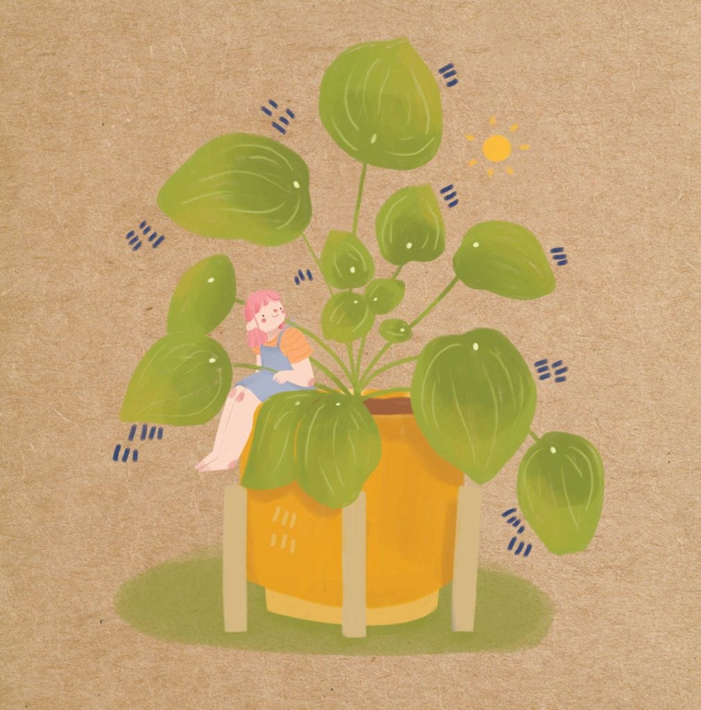 The Little Joy Garden | Bedtime Stories