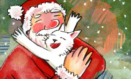 Bedtime Stories Where is Santas Cat christmas stories for kids header