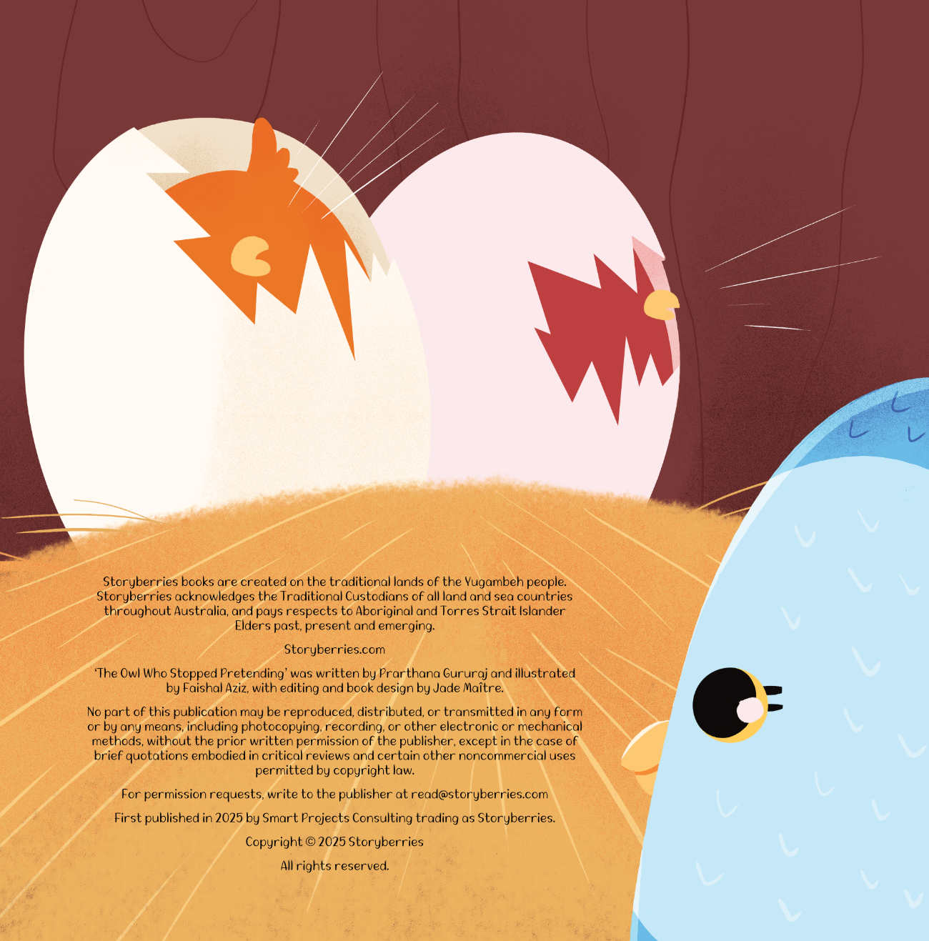 Bedtime stories The Owl Who Stopped Pretending short stories for kids credits