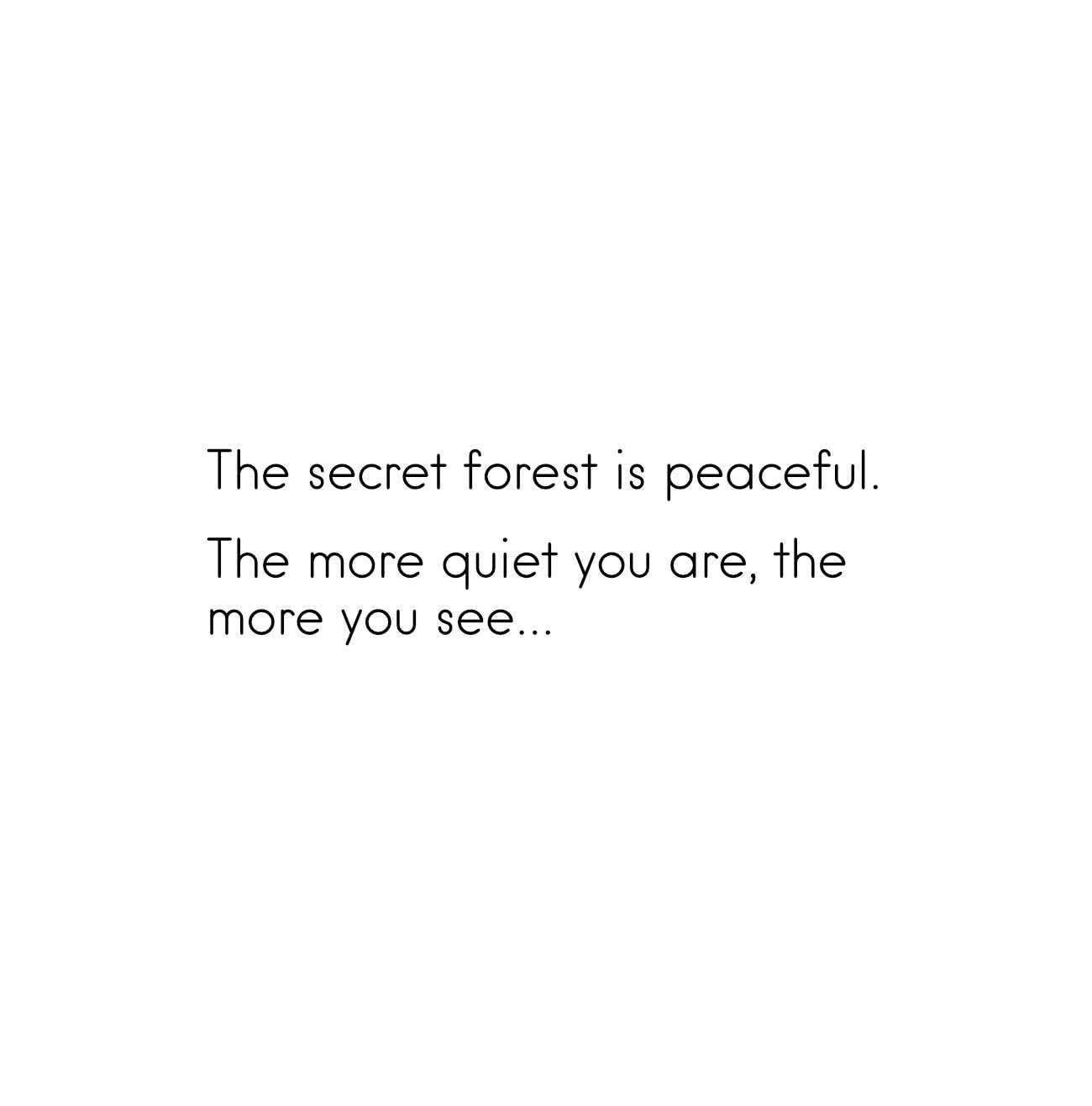 Bedtime stories My Own Rainforest nature meditations for kids page 8