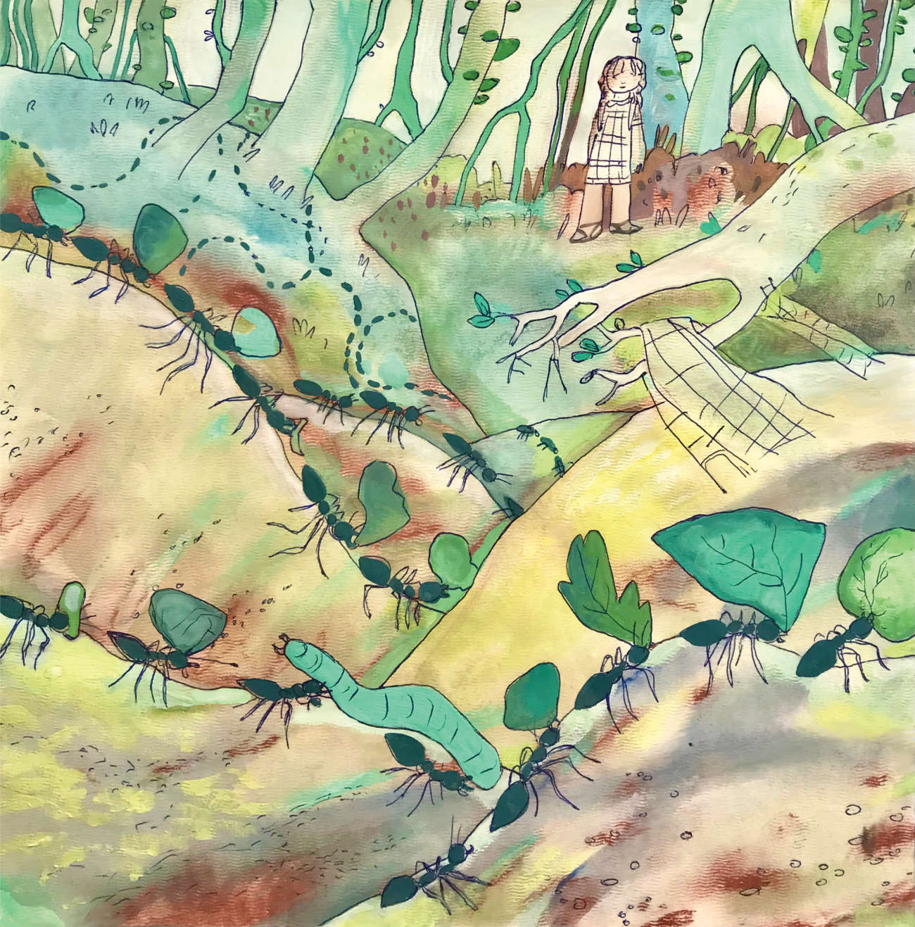 Bedtime stories My Own Rainforest nature meditations for kids page 25
