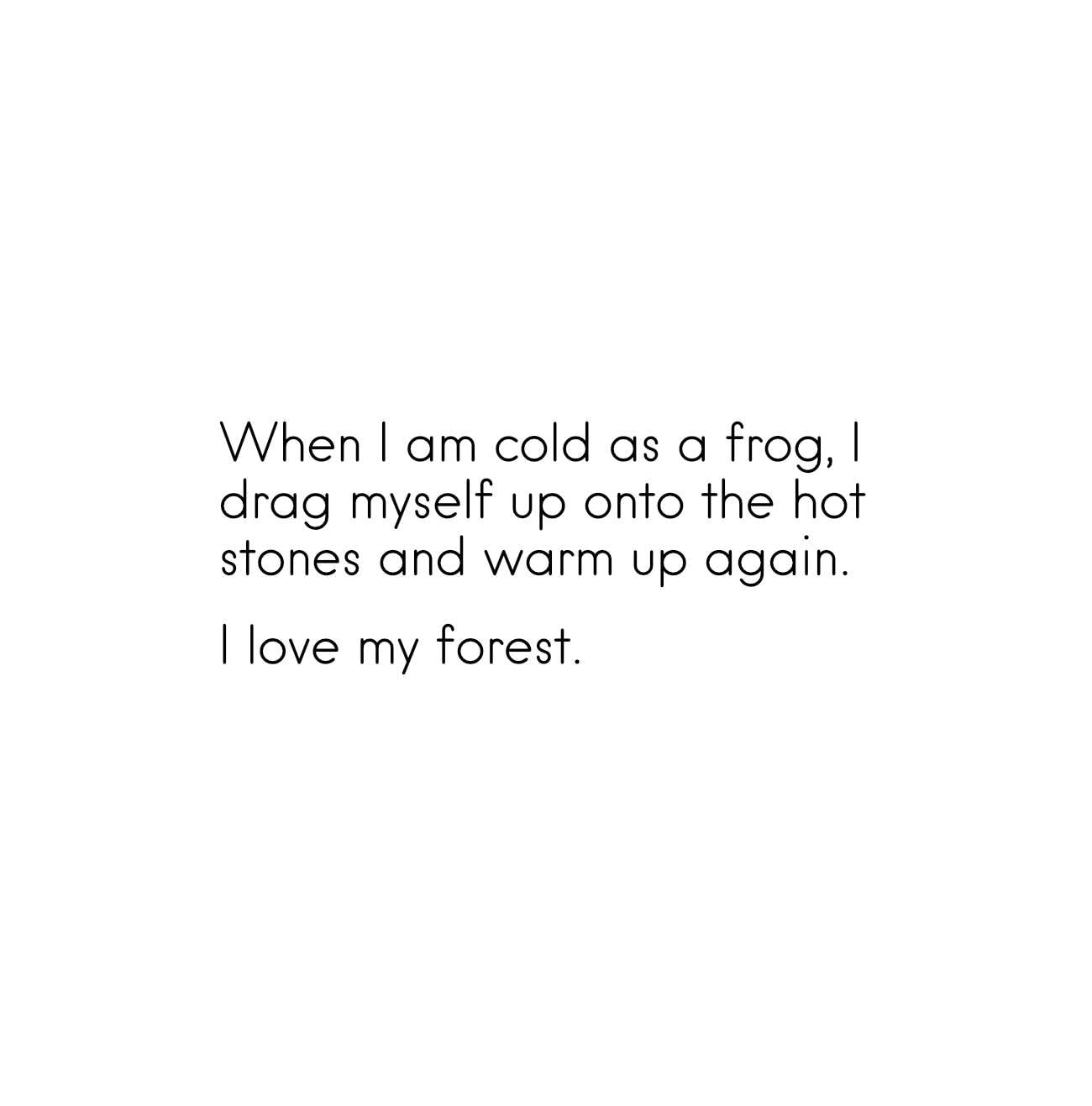 Bedtime stories My Own Rainforest nature meditations for kids page 40