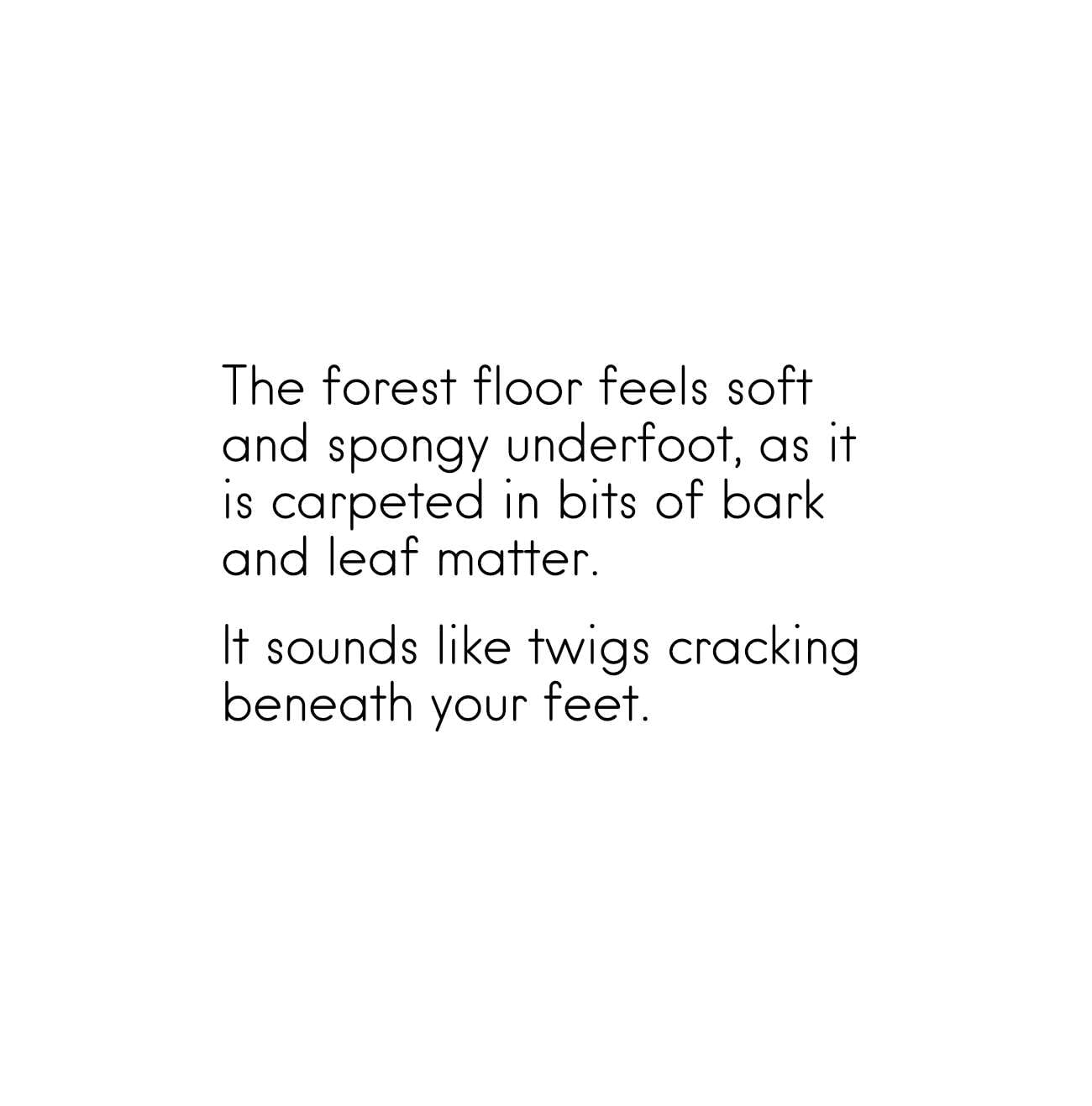Bedtime stories My Own Rainforest nature meditations for kids page 6